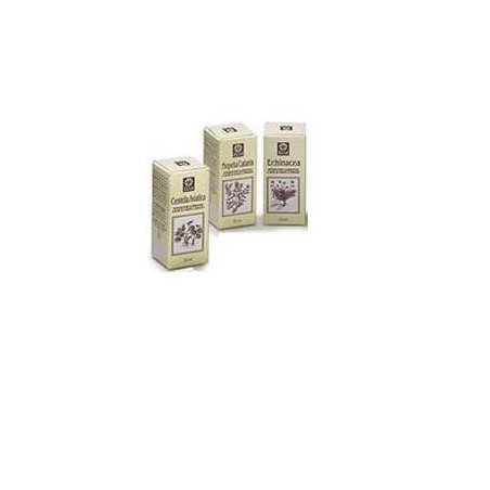 Ecol Echinacea Estratto Analcolico gocce 50 Ml