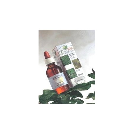 Sangalli Erisimo Tintura Madre 100 Ml