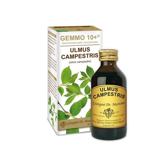 Dr. Giorgini Ser-vis Gemmo 10+ Olmo Campestre 100 Ml Liquido Analcolico