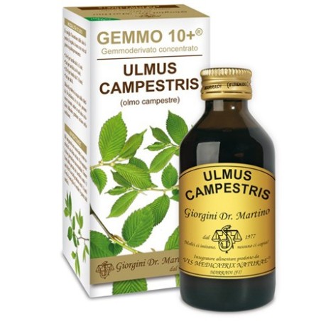 Dr. Giorgini Ser-vis Gemmo 10+ Olmo Campestre 100 Ml Liquido Analcolico