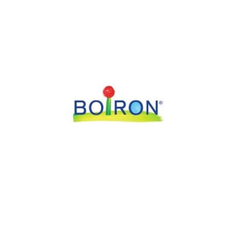 Boiron Sulfur 200k Globuli 