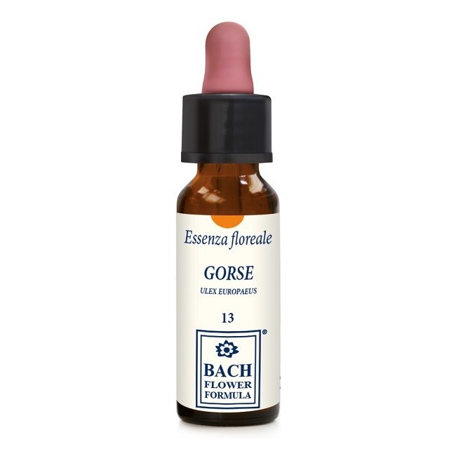 Erba Vita Group Gorse Original Gocce 10 Ml