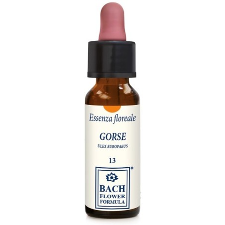 Erba Vita Group Gorse Original Gocce 10 Ml