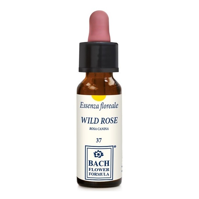 Erba Vita Group Wild Rose Original Gocce 10 Ml