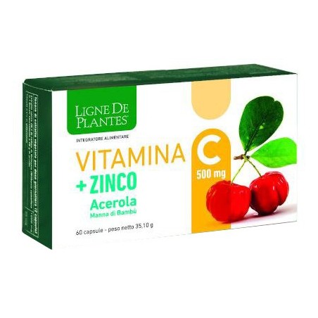 Natura Service Ligne De Plantes Vitamina C + zinco 60 Capsule