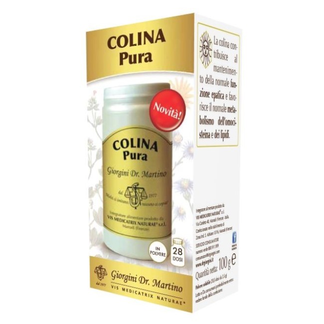 Dr. Giorgini Ser-vis Colina Pura Polvere Solubile 100 G