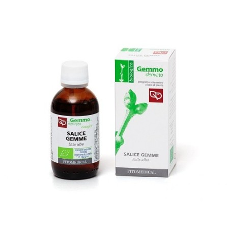 Salice gemme bio macerato glicerinato 50 ml