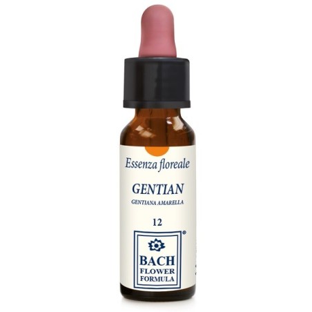 Erba Vita Group Gentian Original 10 Ml Gocce