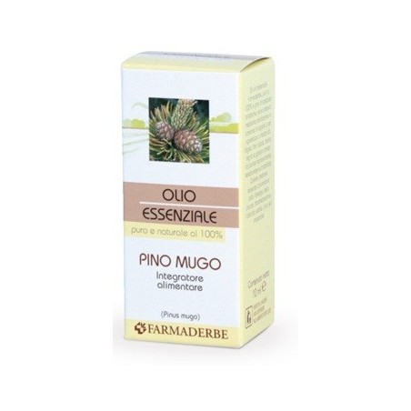  Pino Mugo Olio Essenziale 