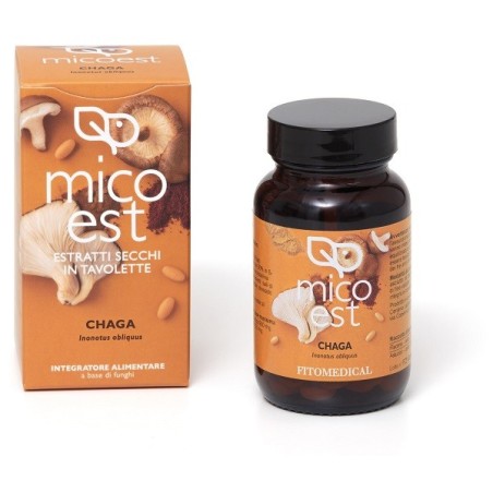 Fitomedical Chaga Estratto Secco