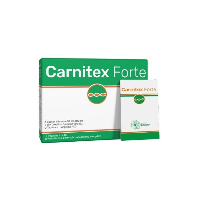 Anvest Carnitex forte 14 bustine