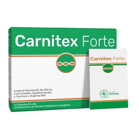 Anvest Carnitex forte 14 bustine