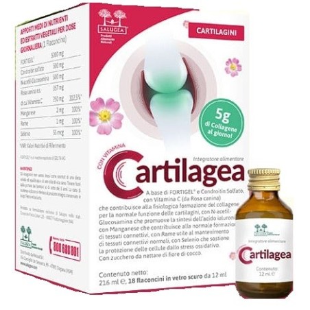 Cartilagea Salugea 