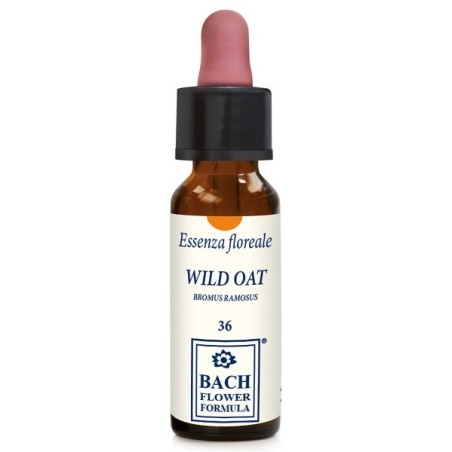  Wild Oat Original 10 Ml Gocce