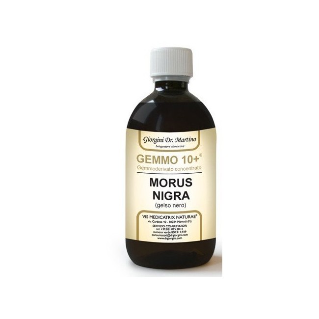 Dr. Giorgini Gelso Nero Liquido Analcolico 