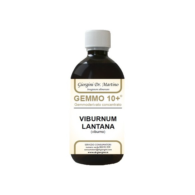 Viburno Liquido Analcolico Gemmo 10+ 500 Ml