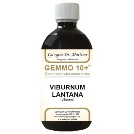 Viburno Liquido Analcolico Gemmo 10+ 500 Ml