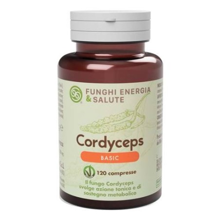 Funghi energia e salute Cordyceps