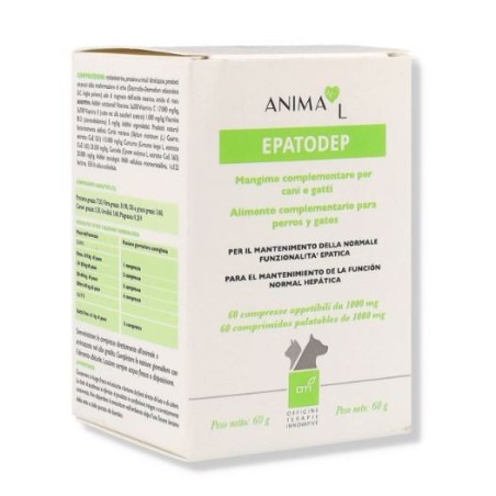 Oti Epatodep 60 Compresse 1g