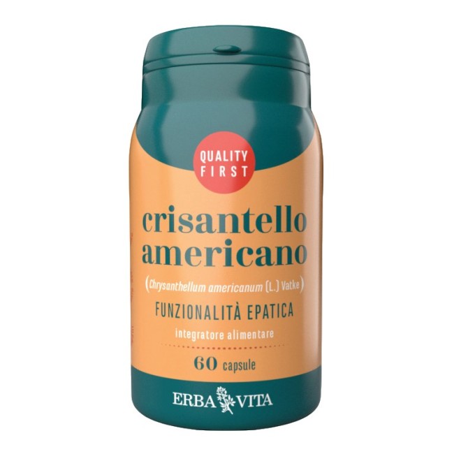 Erba vita crisantello americano 