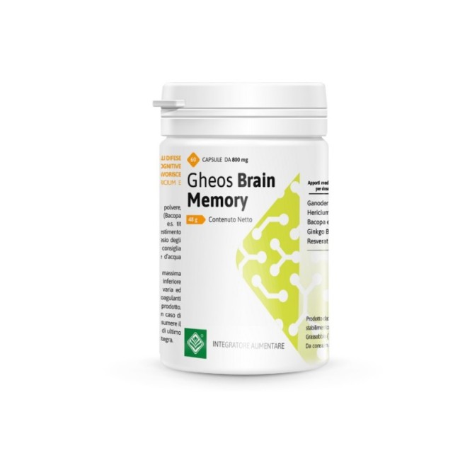 Gheos brain memory