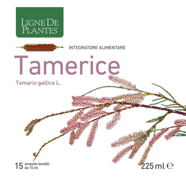 Natura Service Tamerice 