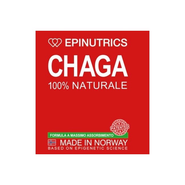 Epinutrics Epi Chaga 60 Capsule