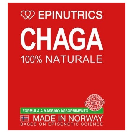 Epinutrics Epi Chaga 60 Capsule