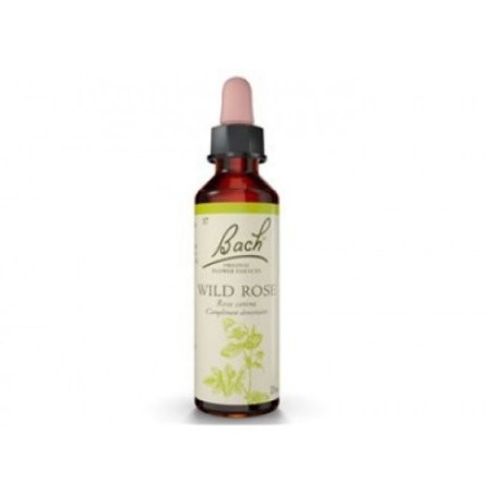 Oti Wild Rose Bach Gocce 30ml