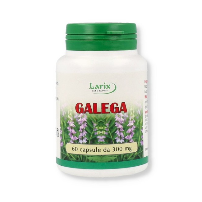 Larix Laboratori Galega 60 Capsule