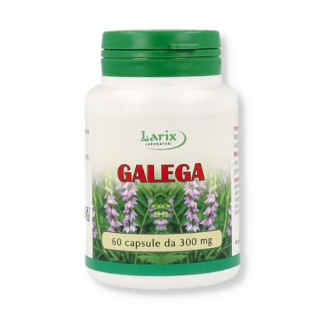 Larix Laboratori Galega 60 Capsule