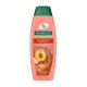 Palmolive Shampoo 2 in 1 Hydrabalance 350 ml