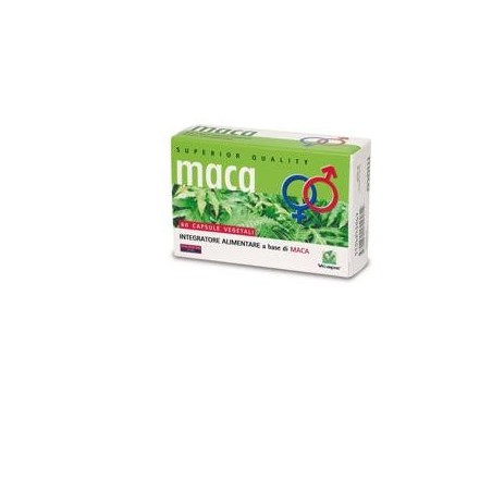 Maca 60 Capsule Vital Factor