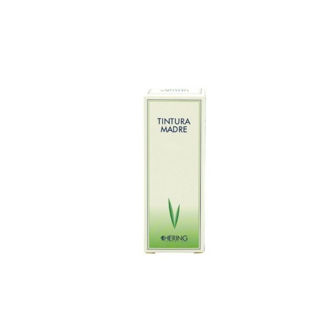 Equisetum Arvense 60ml Tintura madre