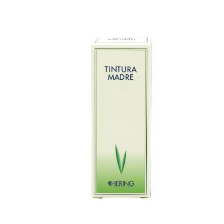 Equisetum Arvense 60ml Tintura madre