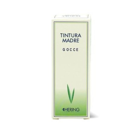 Hering Ginkgo Biloba Tintura Madre 125 Ml