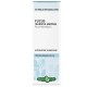 Erba Vita Italia Fucus Tallo Soluzione Idroalcolica 50 Ml