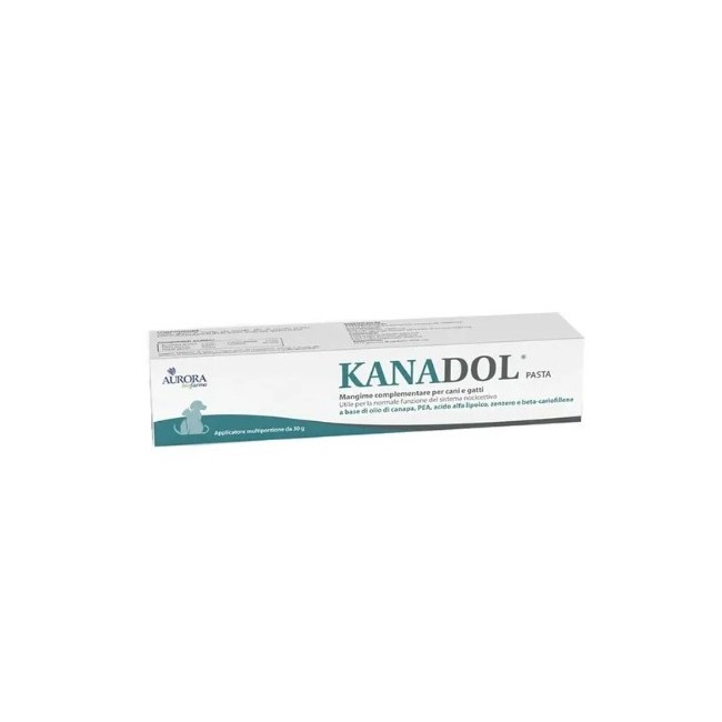 Aurora Biofarma Kanadol Pasta 30 G