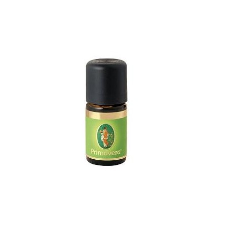 Cannella Foglie 6% Olio Essenziale gocce 