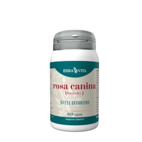 Erba Vita Rosa Canina