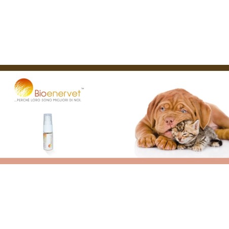 Bioenervet 2,5ml