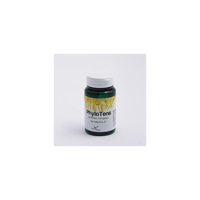 Phytotens 60 Capsule