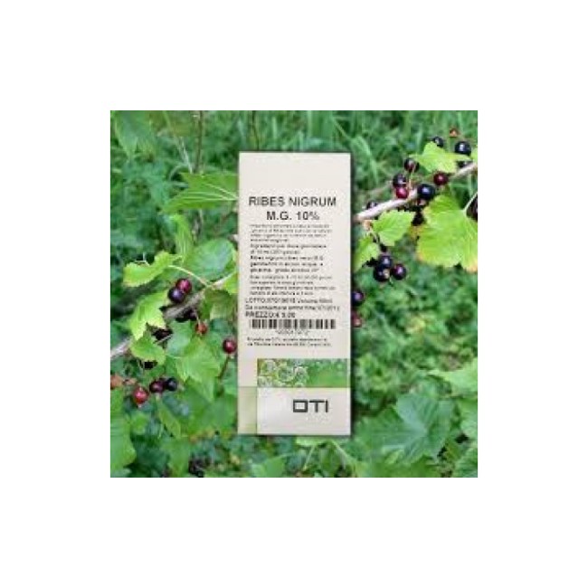 Oti Ribes Nigrum Tm 100ml