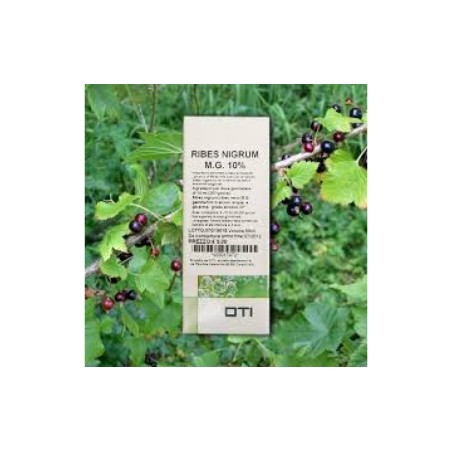 Oti Ribes Nigrum Tm 100ml