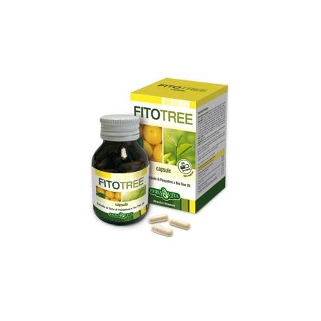 Fitotree 60 Capsule