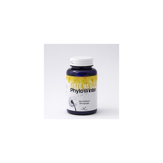 Phytowinter 60 Capsule