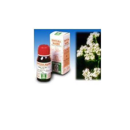 Specchiasol Valeriana 36 Tintura Madre 50 Ml