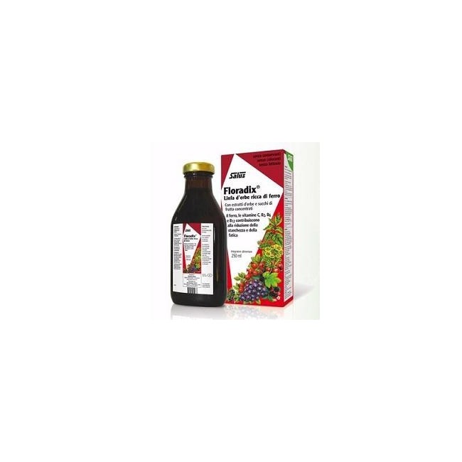 Floradix Ferro 500ml