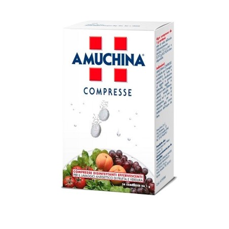 Amuchina 24 Compresse Effervescenti 1 Gr.