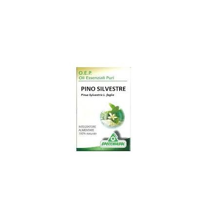 Specchiasol Pino Silvestre Olio Esseenziale Puro 10ml